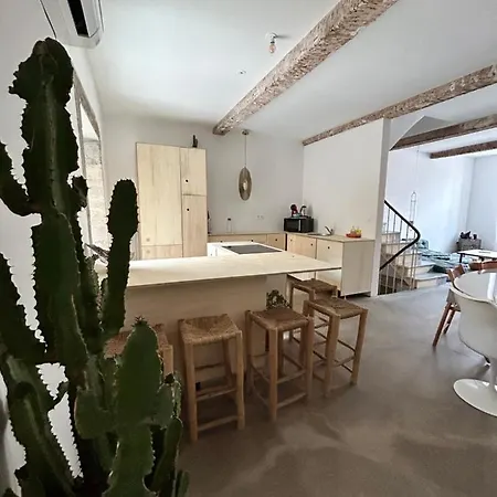 Maison Avec Patio Et Centre Narbonne